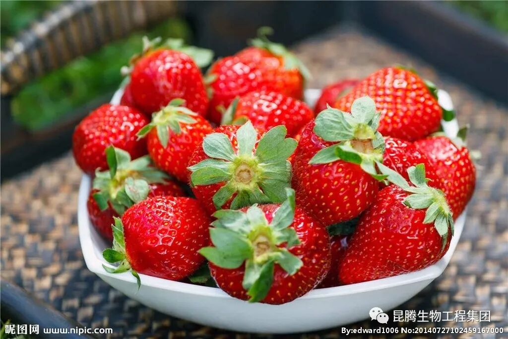 复合微生物有机菌肥厂家直销