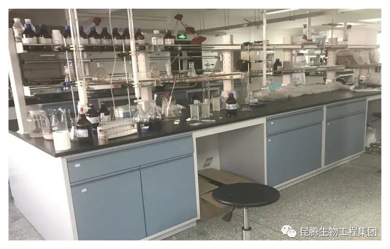 复合微生物菌剂厂家直销