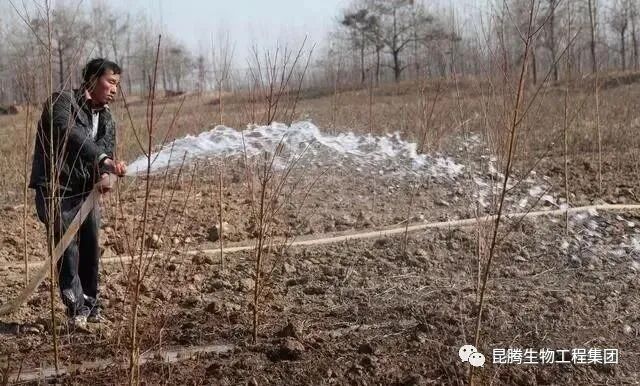 复合微生物有机菌肥厂家直销