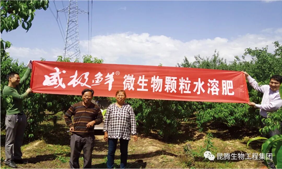 复合微生物菌剂厂家直销