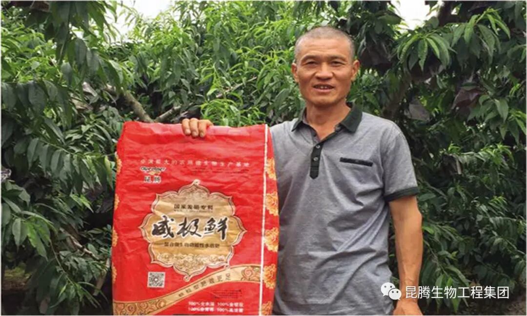 复合微生物菌剂厂家直销