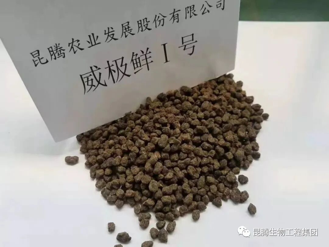 复合微生物菌剂厂家直销