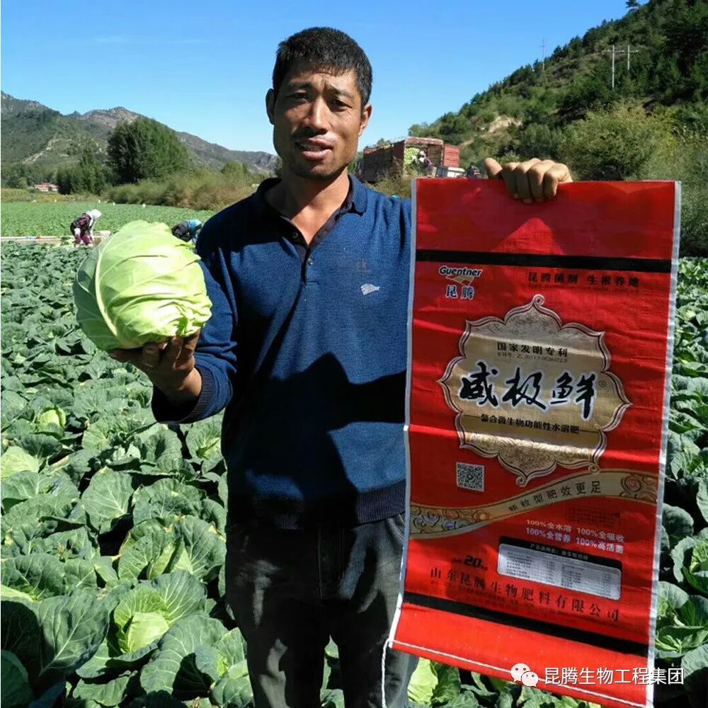 复合微生物菌剂厂家直销