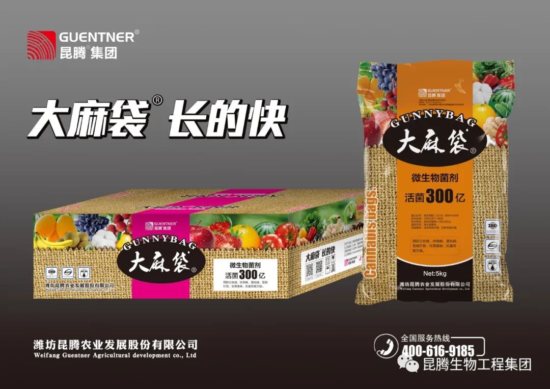 复合微生物菌剂厂家直销