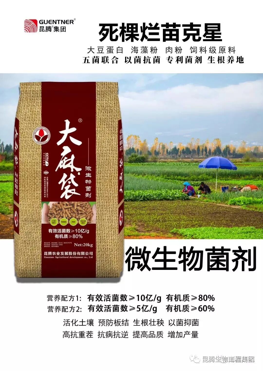 复合微生物菌肥厂家直销