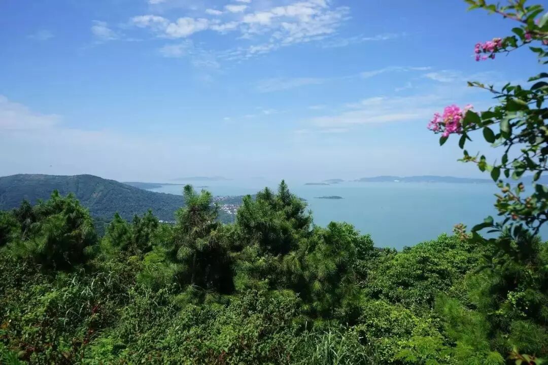 石榴星球 x 清明假期 | 洞庭西山碧螺春茶文化之旅(两天一夜)