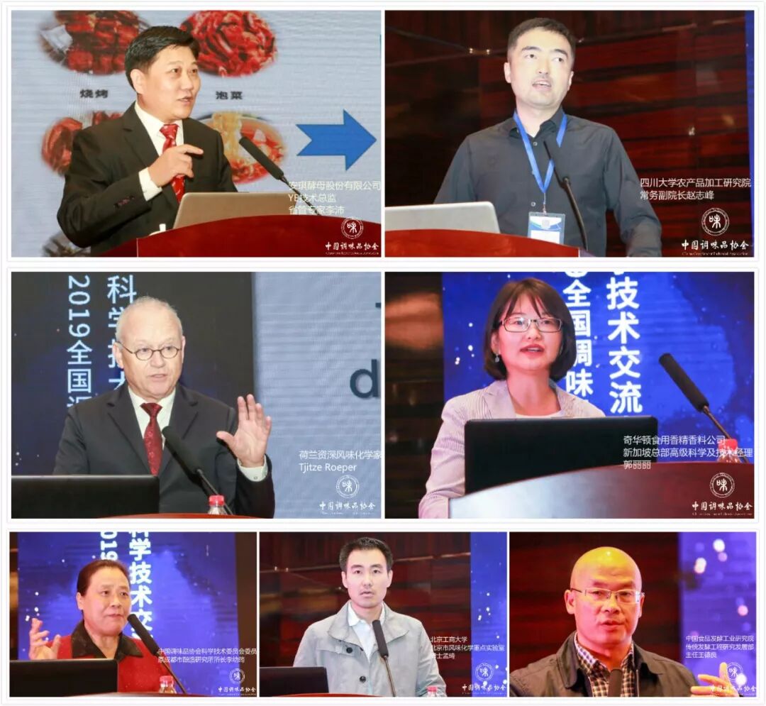 cfe调味品展食品展会大全中国调味品协会