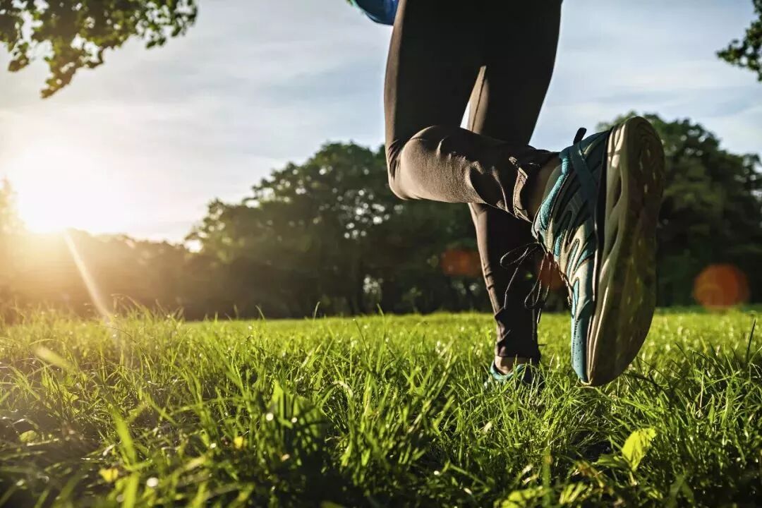 关于虾青素的说明