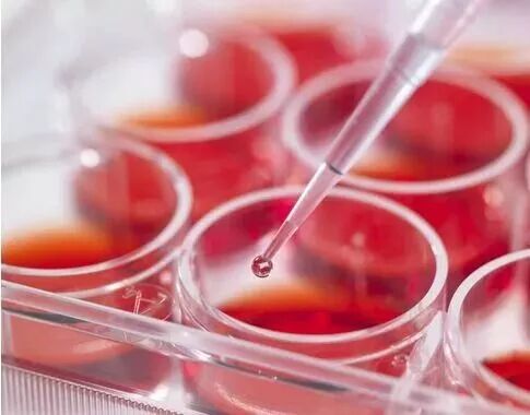 关于虾青素的说明