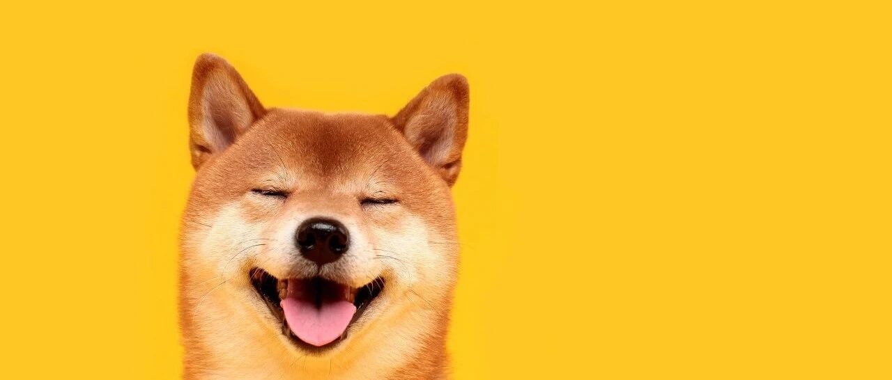 宠物电商独角兽波奇宠物冲刺美股IPO