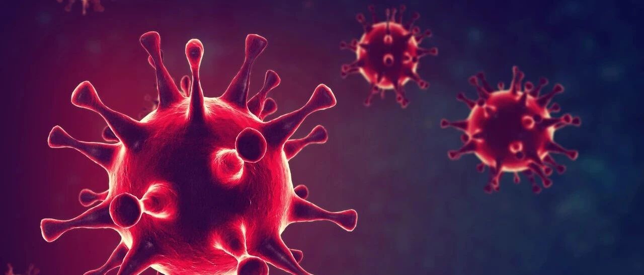 自豪！中国新冠疫苗在巴西三期试验证明有效！超级题材龙头大面积涨停