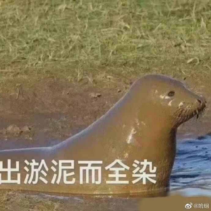 【爆笑】“向佐郭碧婷官宣二胎怀男孩？”网友羡慕：这次会奖励几个亿啊！？（组图） - 30