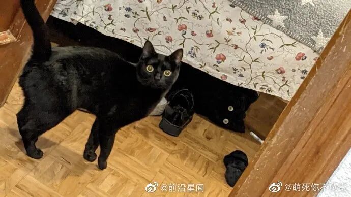 【爆笑】男朋友定了一间豪华情趣拳击房？推开门后.. 网友傻眼：这是要练习家暴吗？(组图） - 24