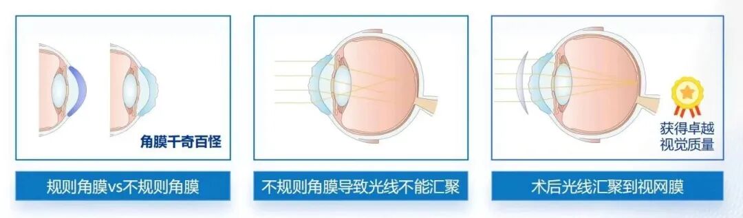 65af7fe133434cdfa4cb0ad9f8336e13.jpg