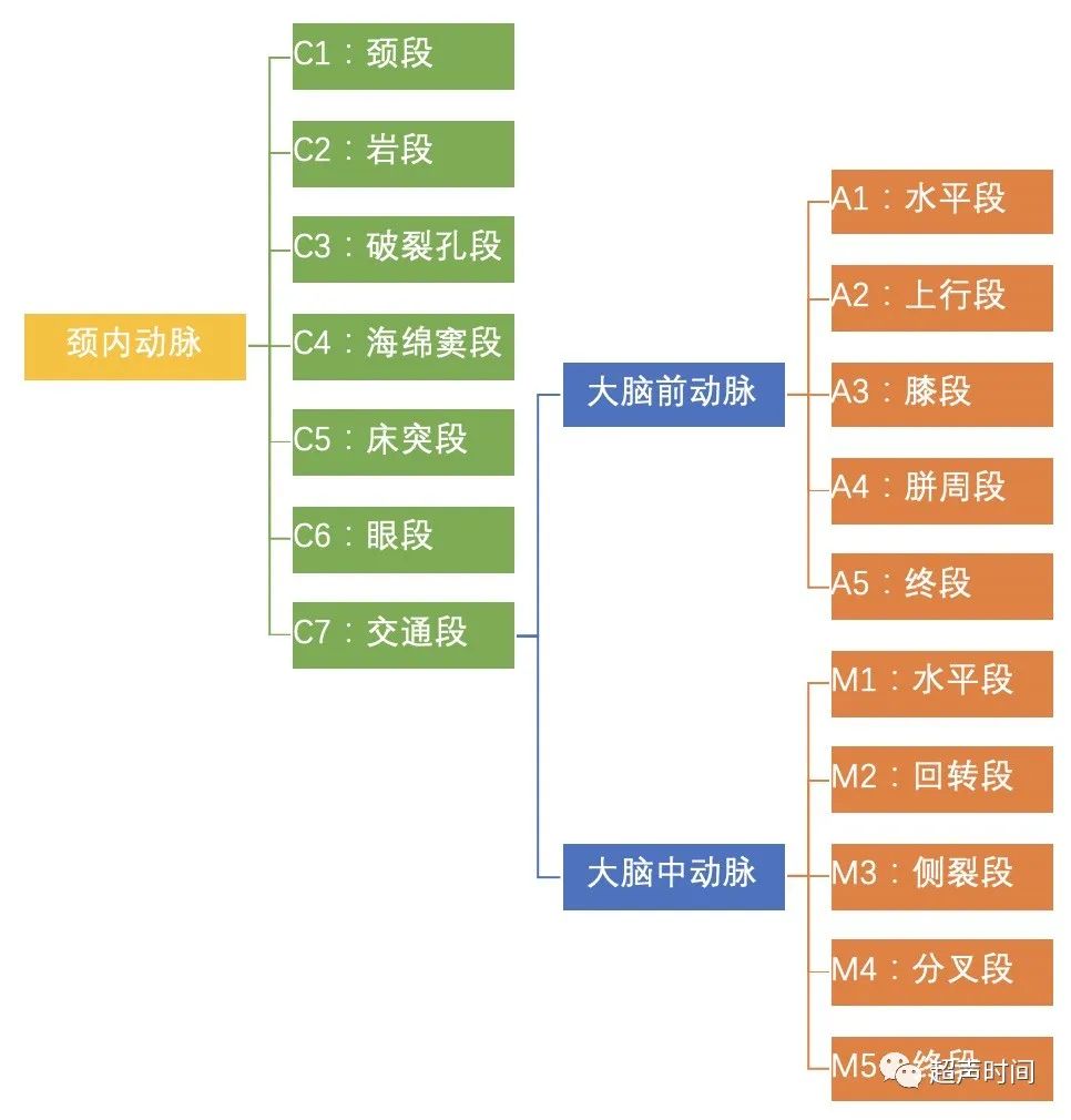 TCD怎么切换探头【血管超声】经颅多普勒（TCD）基础知识及临床应用_https://www.jmylbn.com_新闻资讯_第19张