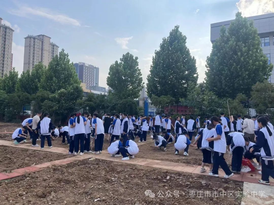 【劳动教育】市中区实验中学劳动实践基地启用