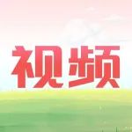 无忧·车·生活 | 汽车改色膜之后，这几点务必注意！