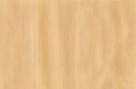 木地板木材_地板哪種木材好_梓木跟檫樹(shù)是不是同一種木材