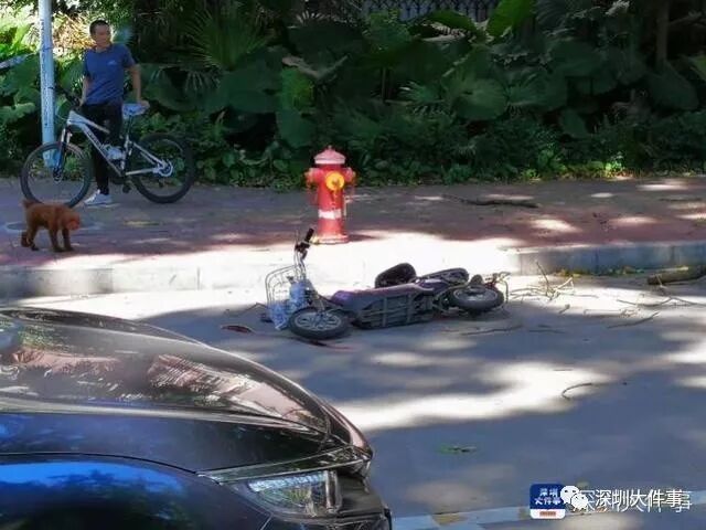 7�׳���֦ͻȻ׹�� ��������һ�ﳵ����ͷ��������