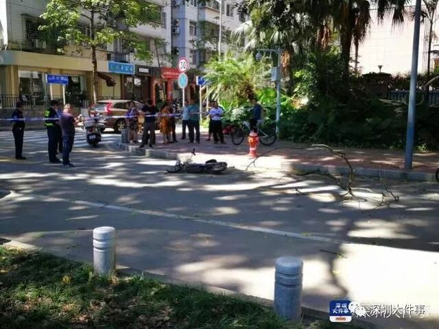 7�׳���֦ͻȻ׹�� ��������һ�ﳵ����ͷ��������