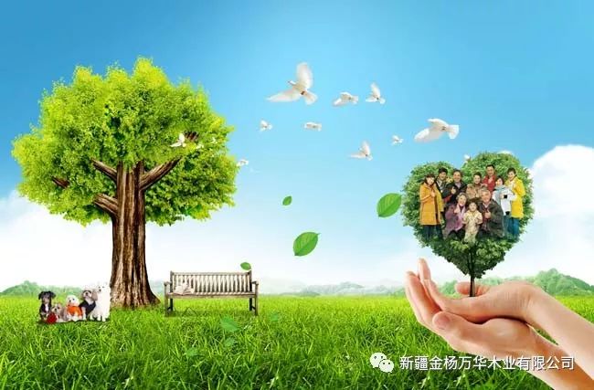 板材级别naf_板材材质是什么意思_e1级板材是什么材料