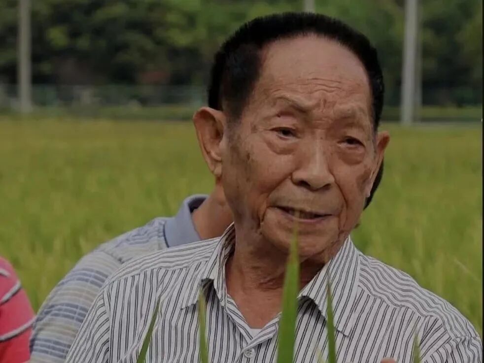 首届国家最高科学技术奖得主、杂交水稻之父——袁隆平
