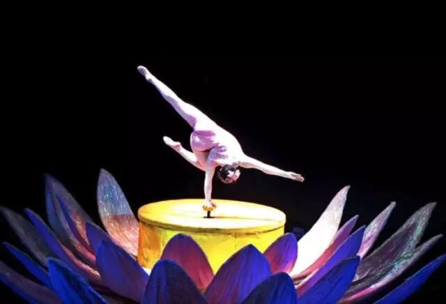 就在今天！百伦留学移民为您送上万众期待的奥克兰元宵灯会全攻略！