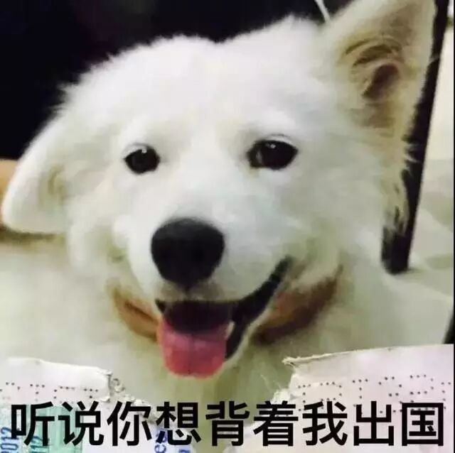 快查护照！出了这些问题，让你回不了国！还影响你出入境（组图） - 61