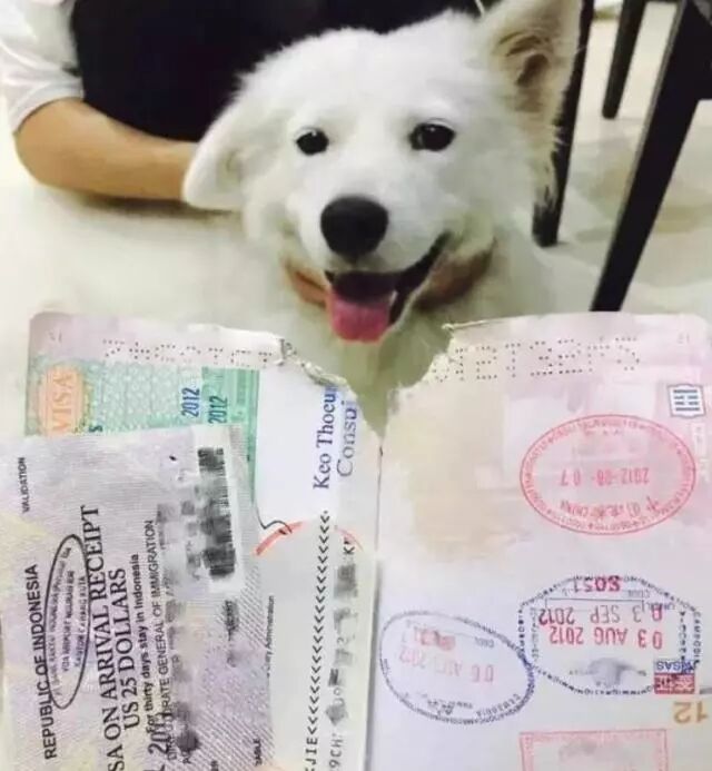 快查护照！出了这些问题，让你回不了国！还影响你出入境（组图） - 62