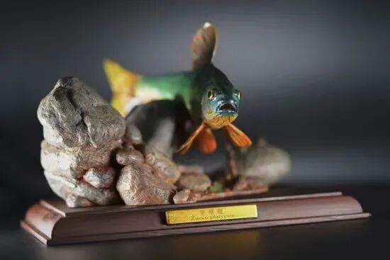 壹周推荐 中国原生鱼模型：宽鳍鱲- ifish水族观赏鱼- 微信公众号文章 
