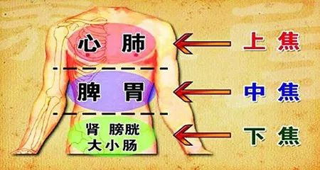 搞懂了人體「三焦」，所有疑難雜症，都迎刃而解 健康 第5張