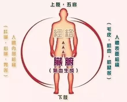 搞懂了人體「三焦」，所有疑難雜症，都迎刃而解 健康 第7張