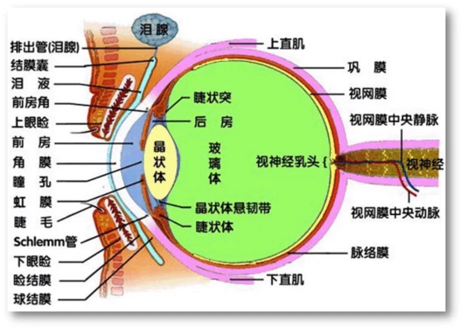 é•¿æ—¶é—´å±…å®¶åŠžå…¬ è¿™ä¸ªçœ¼ç›é—®é¢˜ä¸å®¹å°è§'