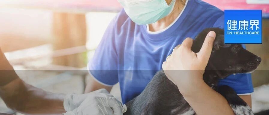 杭州被狗咬伤女孩未确诊狂犬病，未确认脑死亡！比起炒作「重男轻女」的媒体和「不负责任」的疾控中心，我们应该多聊聊狂犬病和疫苗