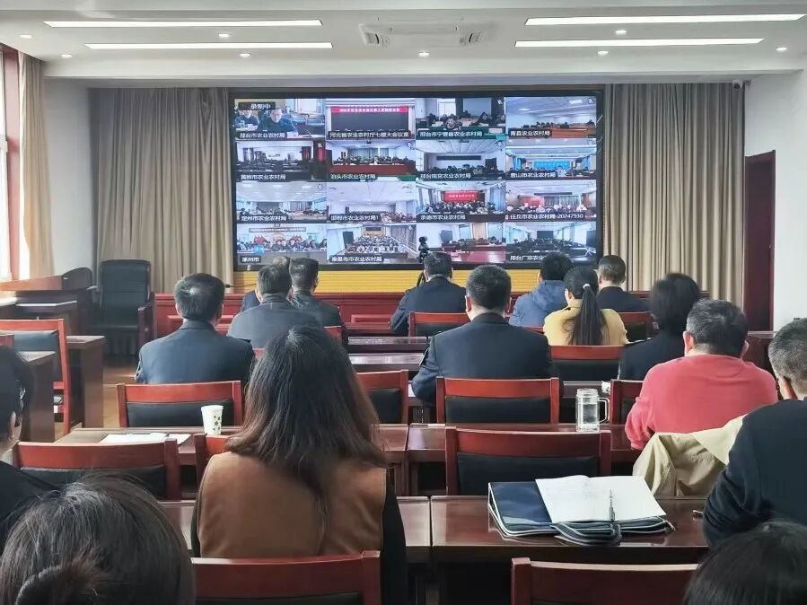 微信图片_20260401171157_221_63.jpg