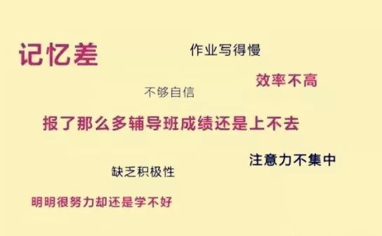 右脑教育不是一场教育界的PK ，而是覆盖