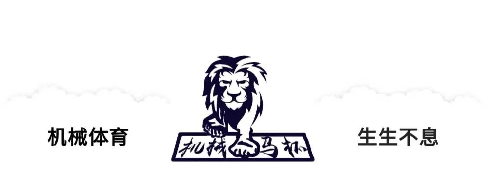 太疯狂了（体育比赛器械）中国体育机器，(图11)