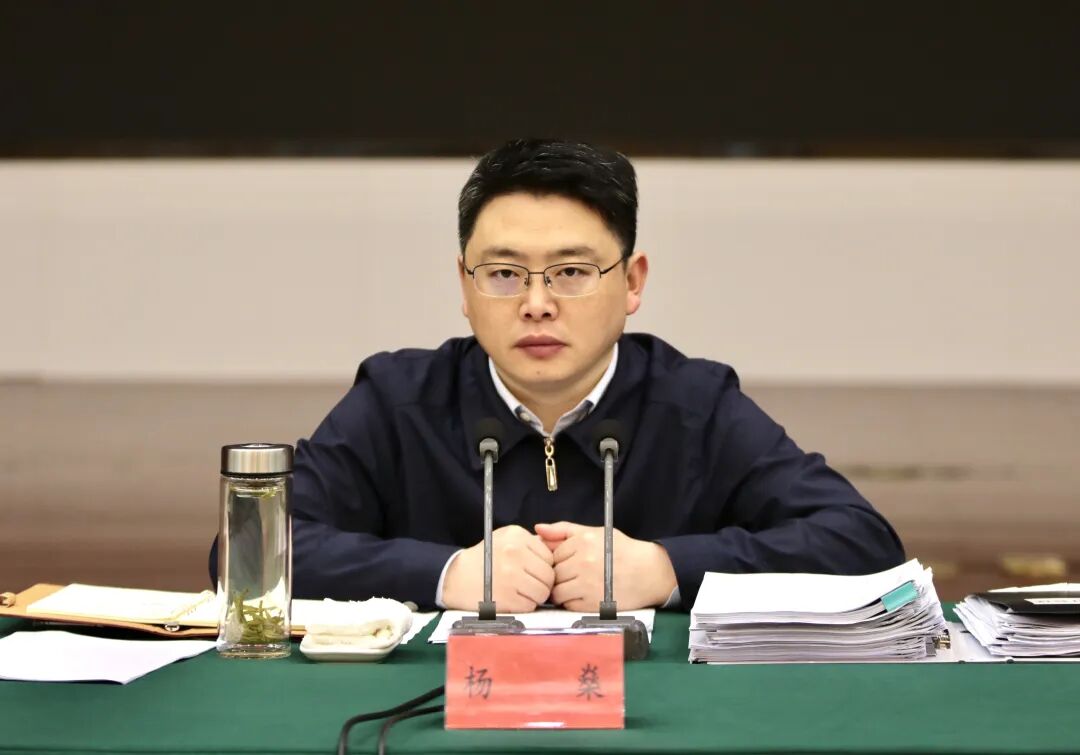 杨燊主持召开区政府第8次常务会议