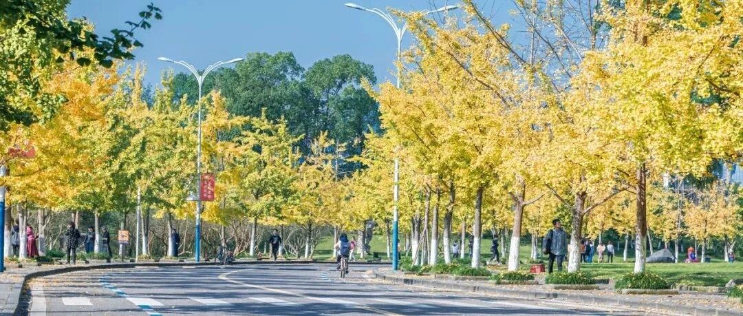 2020中国最美大学，可能就是你的母校