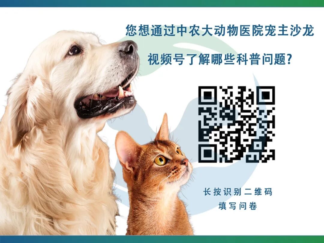 动物怎么麻醉麻醉时，毛孩子是怎么“睡着”又“醒来”的？_https://www.jmylbn.com_新闻资讯_第13张