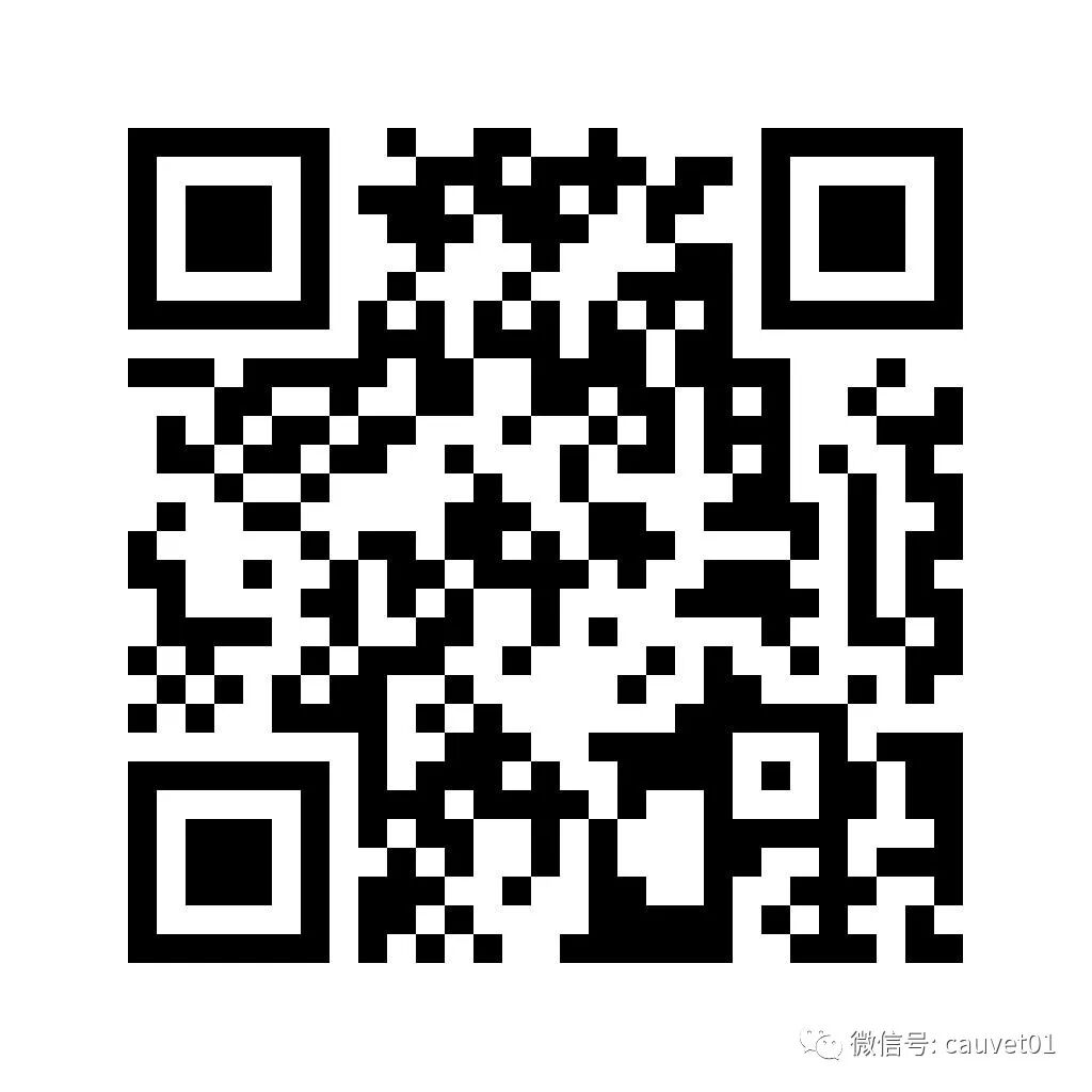 动物怎么麻醉麻醉时，毛孩子是怎么“睡着”又“醒来”的？_https://www.jmylbn.com_新闻资讯_第12张