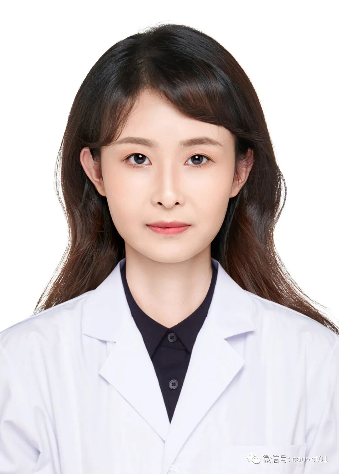 动物怎么麻醉麻醉时，毛孩子是怎么“睡着”又“醒来”的？_https://www.jmylbn.com_新闻资讯_第9张