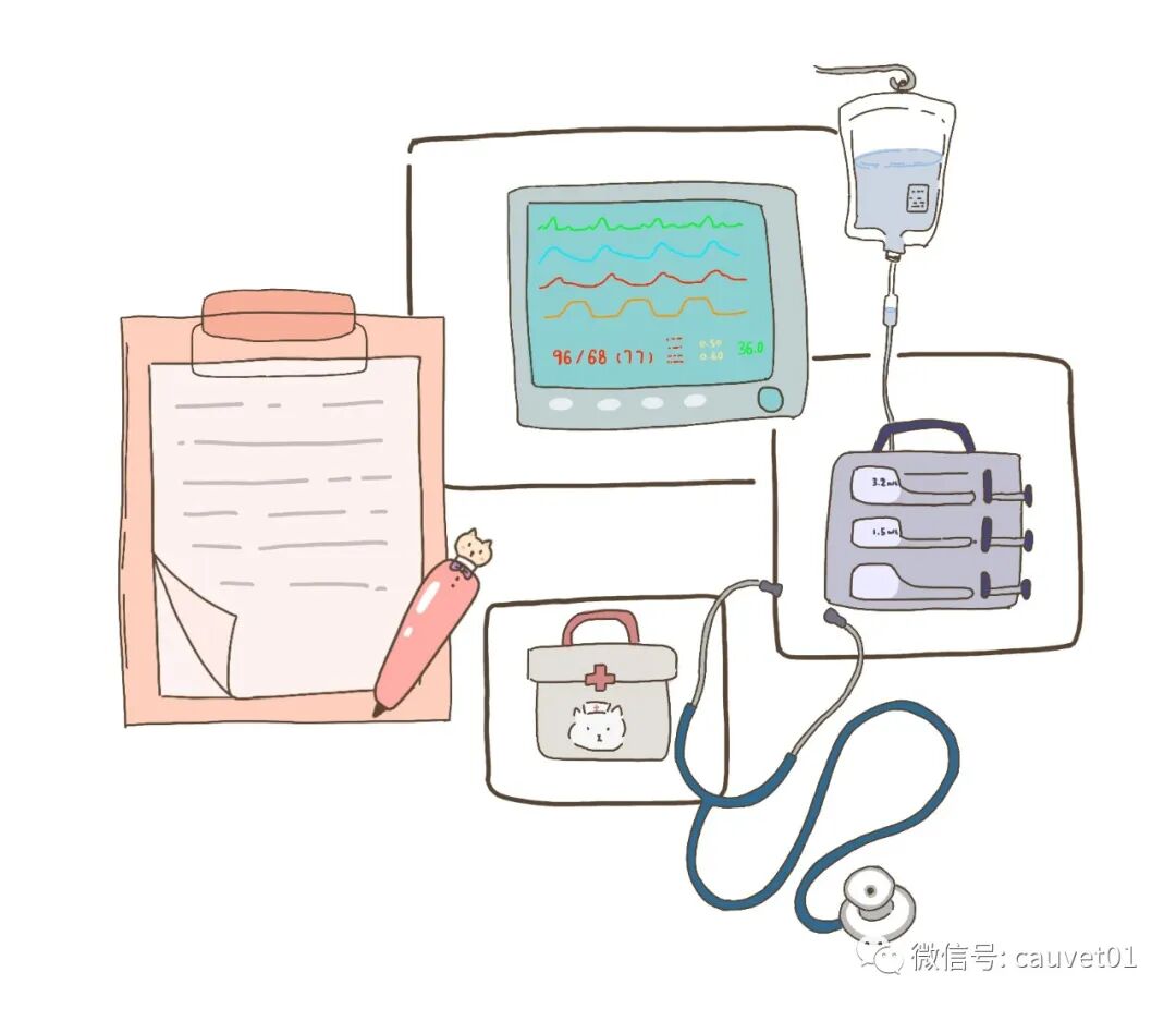 动物怎么麻醉麻醉时，毛孩子是怎么“睡着”又“醒来”的？_https://www.jmylbn.com_新闻资讯_第6张