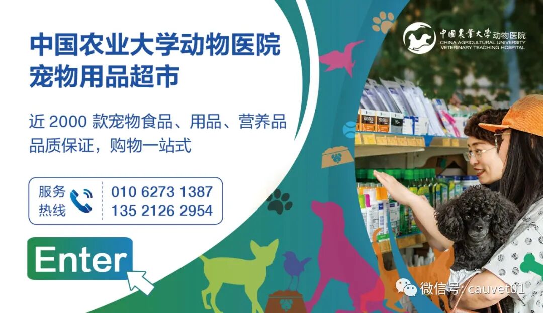 动物怎么麻醉麻醉时，毛孩子是怎么“睡着”又“醒来”的？_https://www.jmylbn.com_新闻资讯_第14张