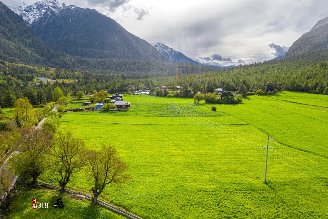 变速自行车如何变速_自行车变速不准怎么调_自行车变速器怎么调
