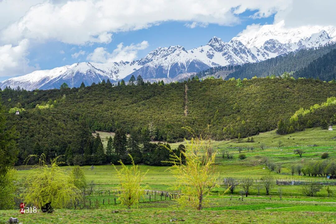 自行车变速器怎么调_自行车变速不准怎么调_变速自行车如何变速