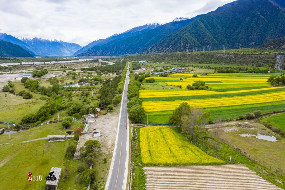 自行车变速器怎么调_自行车变速不准怎么调_变速自行车如何变速