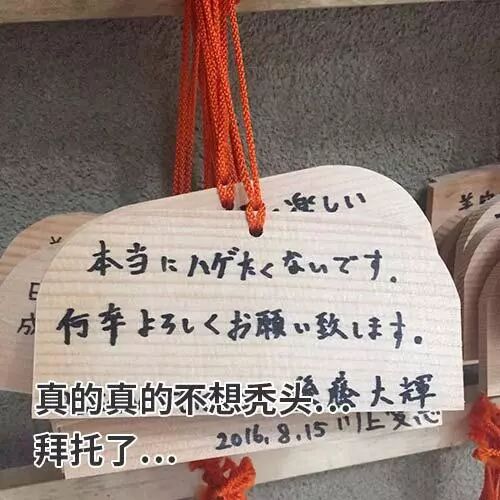 太会玩了吧！日本秃头男人的集体狂欢，去夜店蹦迪都没敢这么野！（视频/组图） - 29