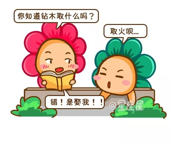 12星座女誰最會抓住男人的心？桃花無限啊~~ 星座 第21張