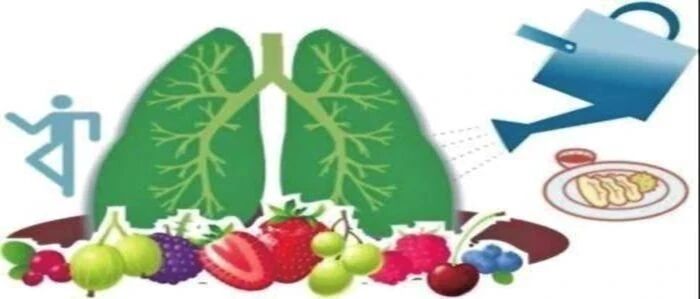 秋冬防范呼吸道疾病，除了戴口罩，还可以养养肺